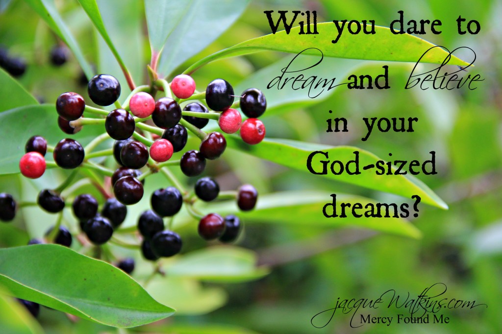 Daring to dream God-sized dreams IMG_5277c