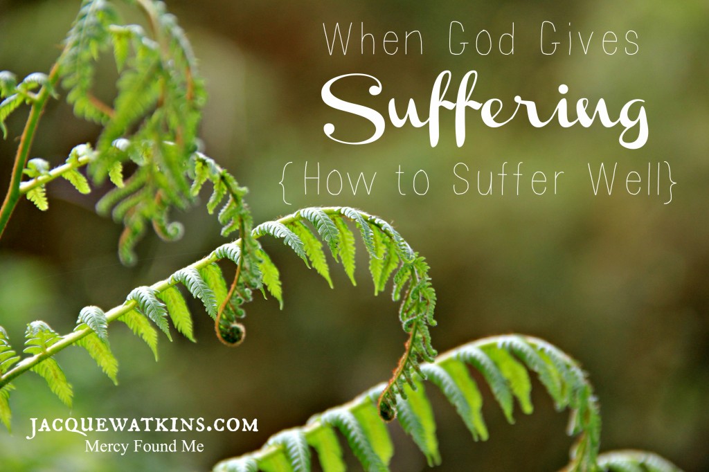 When God Gives Suffering :: {How to Suffer Well} 