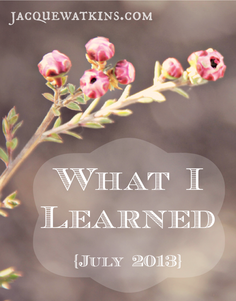 What I Learned July 2013vert