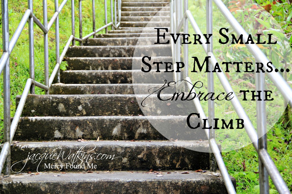 Every Small Step Matters, Embrace the Climb