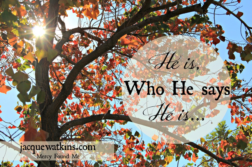 He is Who He Says He is Romans 8 28