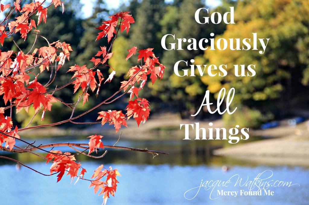 God Graciously Gives us All Things