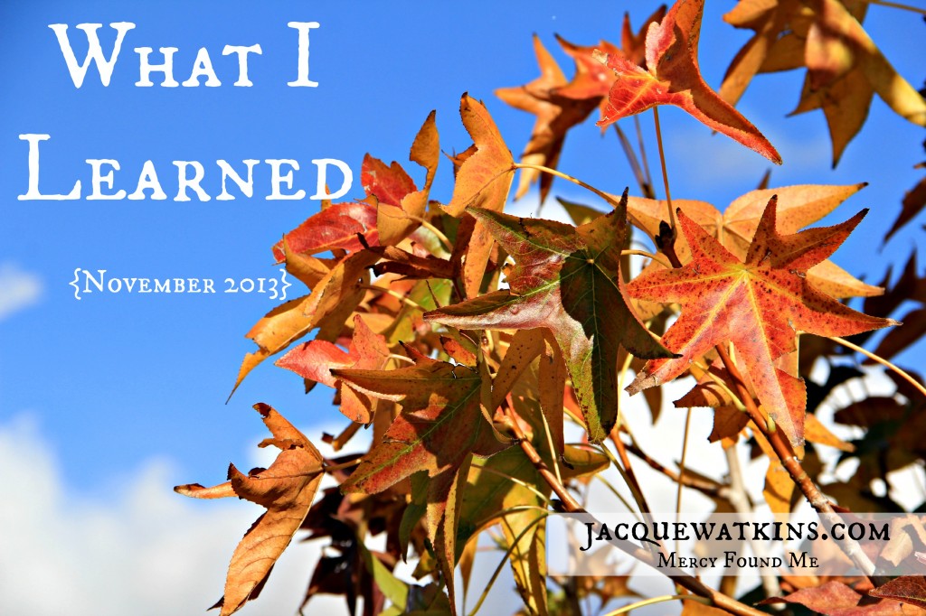 What I Learned October November 2013