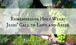 Love and Abide