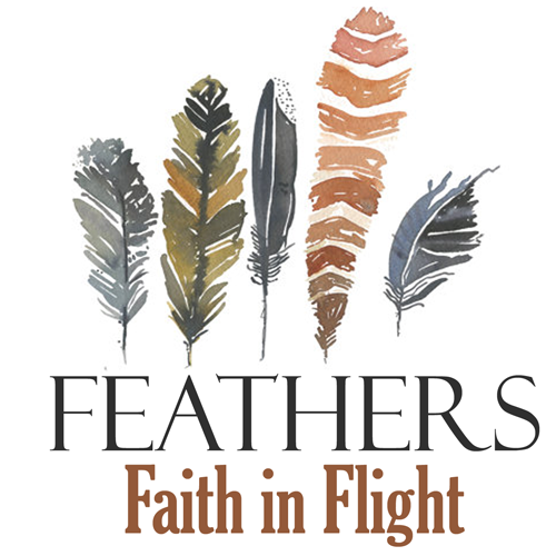 FeathersiTunes2-500