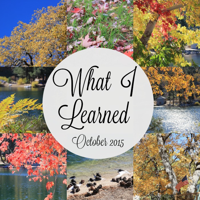 What I Learned Oct 2015 700x700