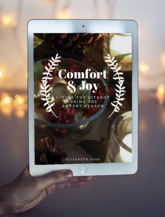 Comfort & Joy Advent Elizabeth Foss